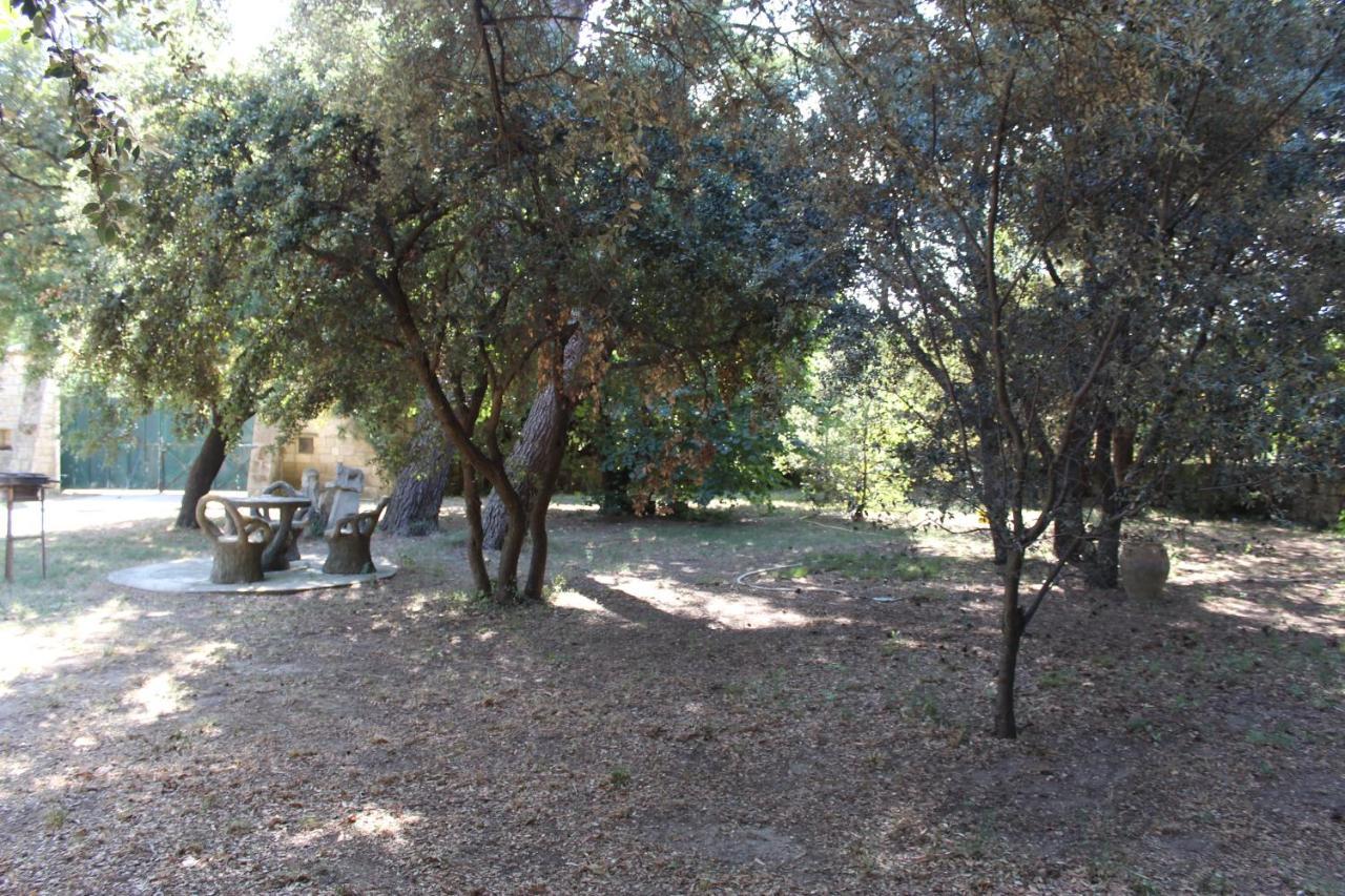 Le Mas De Lucien Entre Arles, Nimes, Avignon. 보케르 외부 사진