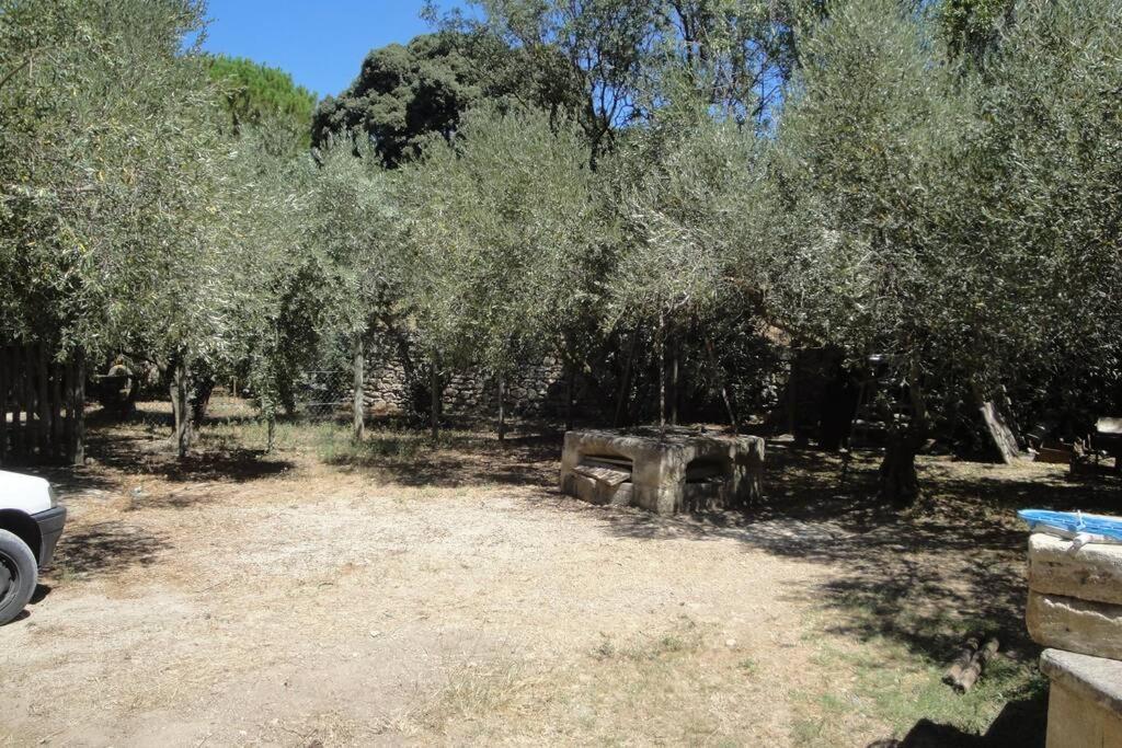 Le Mas De Lucien Entre Arles, Nimes, Avignon. 보케르 외부 사진